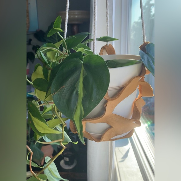 leather plant hangers Custom-made on Vancouver island. Holds 6 to 8 inch pot. - Picture 12 of 12